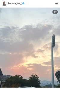 原田葵アナのインスタグラム＠harada_aoi_より