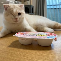 雪見大福みたいな子だって言うにゃ