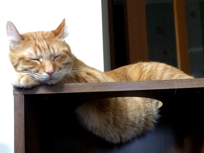 アクロバティックな寝相