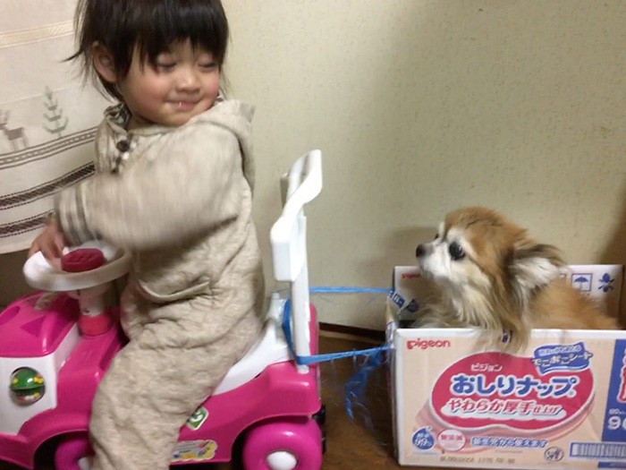 森崎徹子さんの投稿写真。天国のぷーちゃんは、もちろん幸せだったことでしょう。