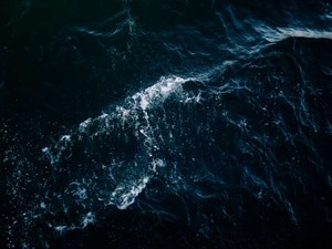 「禁断の恋」は始まりがないから終わりもない