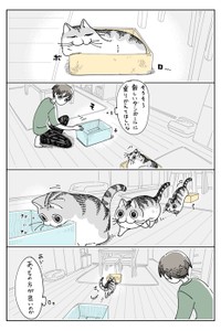 【漫画】「ボロボロダンボール」（提供：キュルZさん）