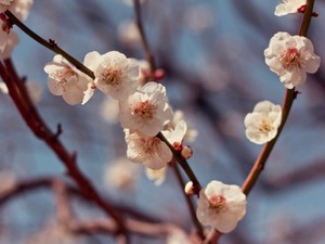 休職からの転職を辞退。白紙に安堵した私が、2か月遅れで決めた目標