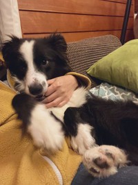 僕が癒してあげるよ、僕もあったかいな＝麻実さん（@mami_wmyco）提供