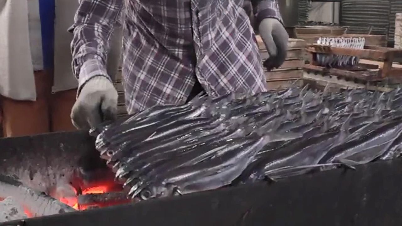 澄んだ黄金色の出汁 創業120年「焼きあご」工場を訪問 平戸市「林水産