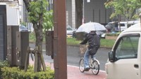 資料