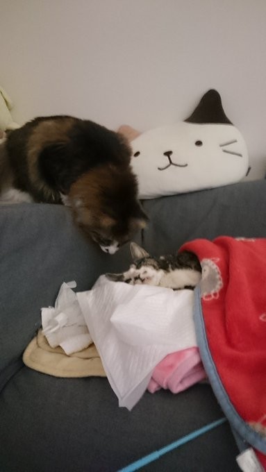 退院後の杏子ちゃん