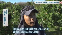 生産者／森本直樹さん