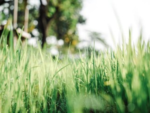 大切な思い出の場所が変わっていく。私は、まだ受け入れられずにいる