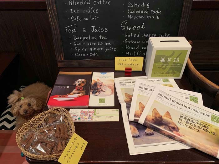 広尾にあるカフェカルバ。カフェの一角にしつらえていただいたアニドネコーナー。店内までワンコOKの希少なお店です