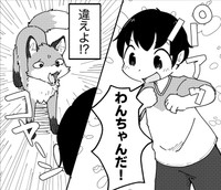 道端できつねと遭遇する少年　（きつねねねさん提供）