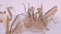 さぬき市で8月4日から竹細工の作品展示会　竹で作った昆虫や竹かごなど展示　香川