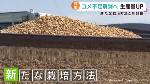 新たな栽培方法