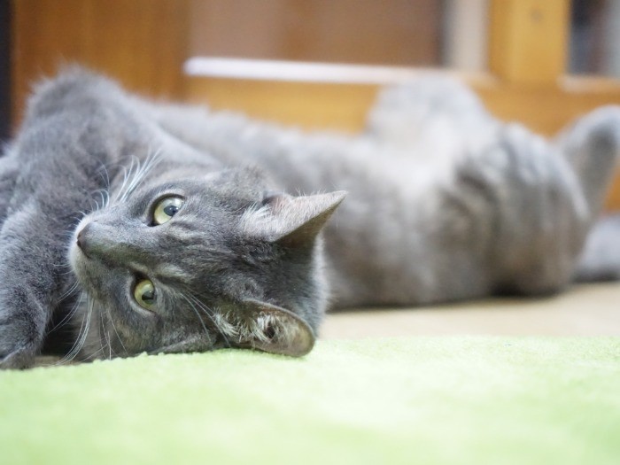 一緒に寝よう、早く片付け終えて