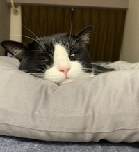 寝顔を見ているだけで幸せな気持ちになれる