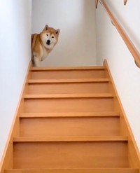 出てきたものの…（提供：@happinessboy0104さん）
