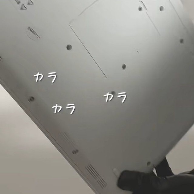 カラカラ音がする／投稿主さん提供