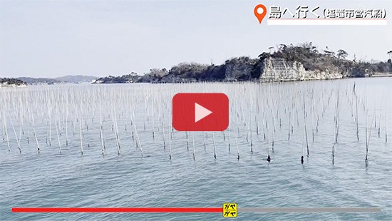 #797島へ行く(塩竈市営汽船)