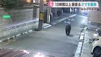 仙台市中心部の住宅街にクマ　１０時間以上居座り駆除される　１９日