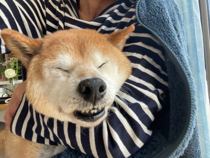 窓辺で日なたぼっこ