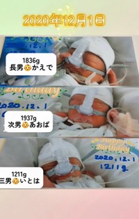 出産直後の三つ子／あすかさん（@asuka_4kids__)提供