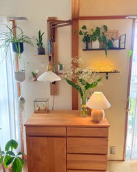 自宅で多くの植物を育てている/らーちゃんさん（@raja_yai_room）提供