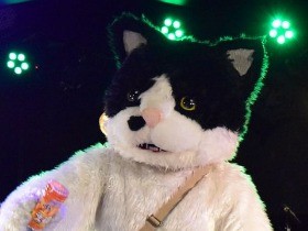 天国から帰ってきた“猫”　「むぎ」の音楽はやさしかった！