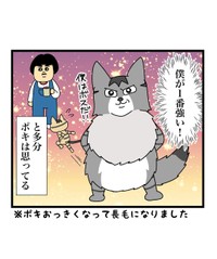 【漫画】『自称ボス猫VS最強猫！結果は…！？』5（まんぼう！さん提供）
