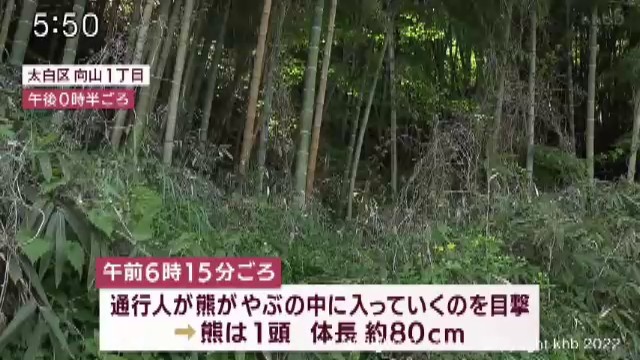 仙台市太白区で熊 周辺で熊の目撃相次ぐ 警察などが注意呼び掛け | khb