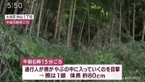 仙台市太白区で熊　周辺で熊の目撃相次ぐ　警察などが注意呼び掛け