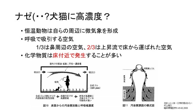 人間や犬猫は、呼吸で吸引する空気の2/3は、自分の真下にある空気だといわれています