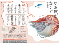 続 わけあって絶滅しました。 世界一おもしろい絶滅したいきもの図鑑 Amazon.co.jp: も～っと わけあって絶滅しました。――世界一