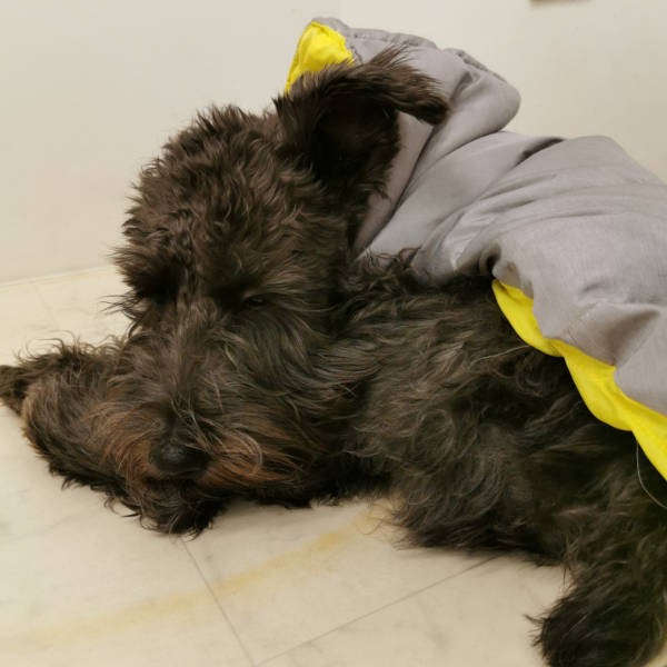 ジャケット着たまま電池切れ（UG提供）