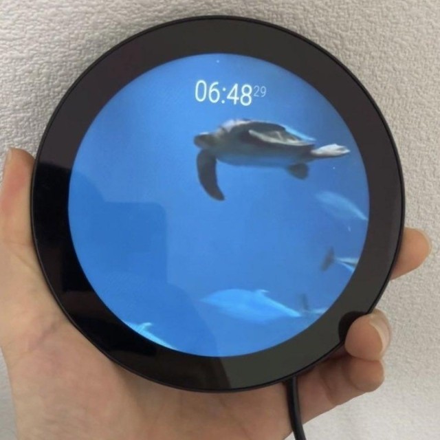 水族館の時計（そぞらさん提供）
