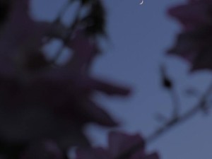 とっさに出た「別れたい」。次に会った彼は、意識不明の重体でした