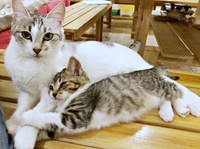 つみれママとハナコちゃん（画像提供：奥多摩ラフティング・カヌー・カヤック・SUP／コンセプトさん）