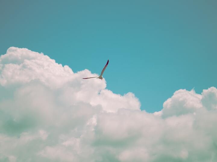 わたしの過去への矛盾と今の葛藤 とある大学中退女のはなし かがみよかがみ