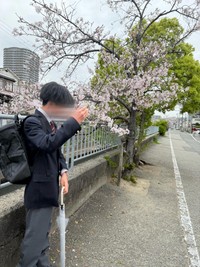 高校に入学した息子。桜の木の下で写真を撮り合い／YOH（@okanoyoh_）さん提供