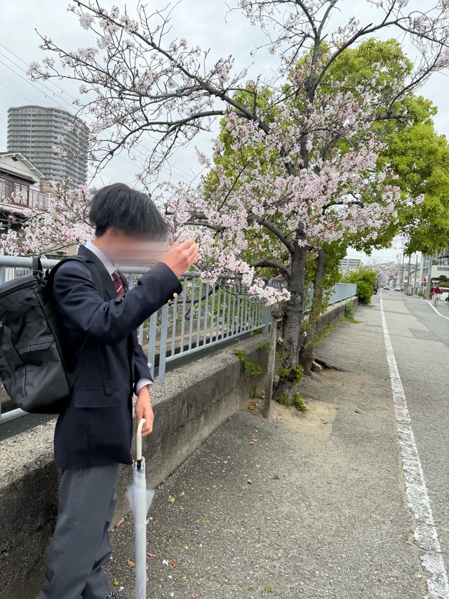 高校に入学した息子。桜の木の下で写真を撮り合い／YOH（@okanoyoh_）さん提供