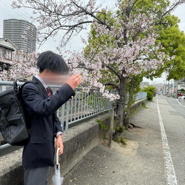 高校に入学した息子。桜の木の下で写真を撮り合い／YOH（@okanoyoh_）さん提供