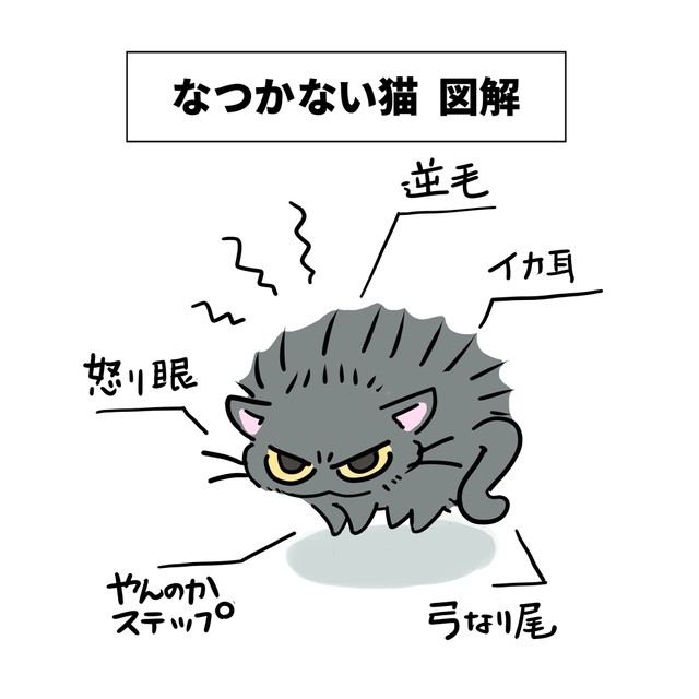 なつかない猫図説