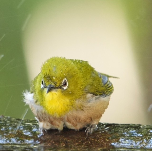 ちょっと…怒ってる！？（画像提供：ぽかりさん）