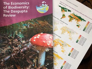 サミットでも引用、世界が注目した報告書「ダスグプタ・レビュー」とは？