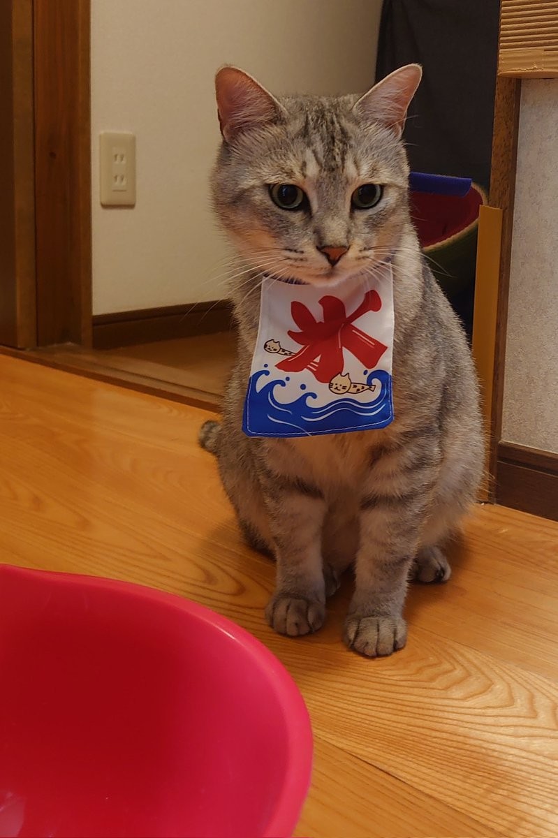 6e21e76d4f72b9fdd83b11bda5f818