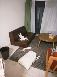 あまりにも変なポーズでくつろぐほたてくん（提供：ほたてさん）