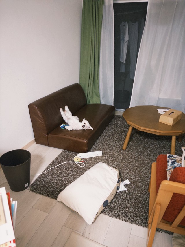 あまりにも変なポーズでくつろぐほたてくん（提供：ほたてさん）