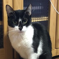 井上さんの「癒し」担当