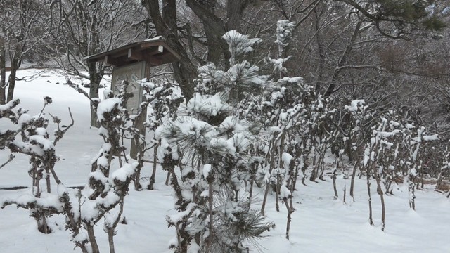 小豆島の寒霞渓でも雪景色　厳しい寒さは3連休最終日まで続く見込み【岡山・香川の天気】