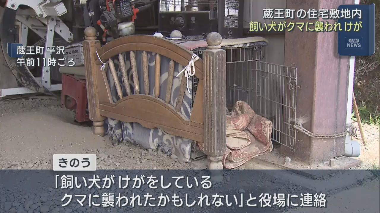 住宅の敷地で飼い犬がクマに襲われけが　宮城・蔵王町