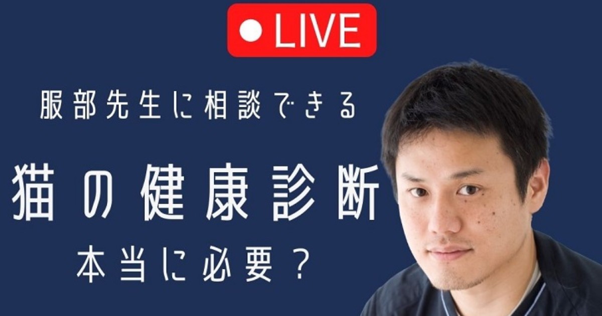 猫の健康診断なんとなく受けていませんか？【1月19日20時】服部先生ライブ 犬・猫との幸せな暮らしのためのペット